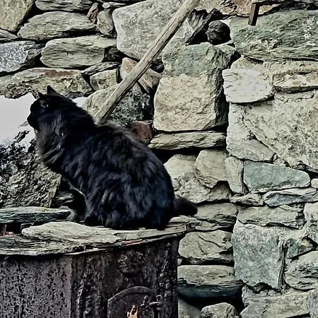 Relais De Noel Apartamento